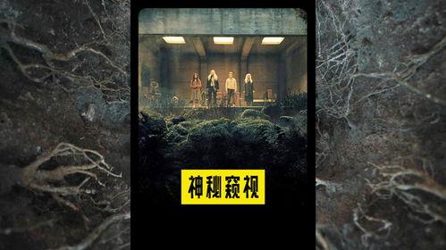 神秘窥视,揭开未知世界的神秘面纱